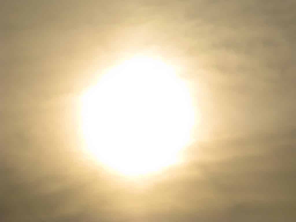 The Invisible White Rabbit - A Parable in Determination - Providence Holistic Counseling Services - bright sunlight