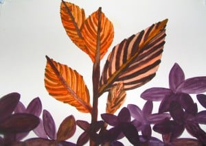 I Am Not a Healer - Providence Life Coaching & Reiki Counseling