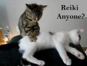 What Is Reiki Counseling? - Providence Life Coaching & Spiritual Training - What Is Reiki Counseling? - Providence Life Coaching & Reiki Counseling - reiki-cat