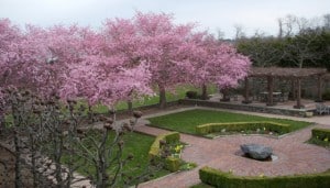 Spiritual Retreat at Portsmouth Abbey - Providence Holistic Counseling Services - portsmouth abbey garden top