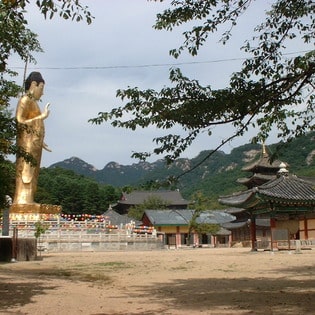 CHEONAN GOLD BUDDHA - Blindness - A Spiritual Teaching in Seeing - Providence Holistic Counseling Services