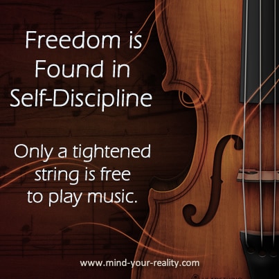 What is The Difference Between Freedom and Lack of Self-Discipline? - Providence Holistic Counseling Services - freedom found self discipline