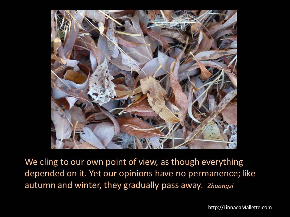 The Art of Not Trying - Wu Wei Providence life coaching and Reiki counseling--Dealing-With-Adversity-Quote-Zhuangzi