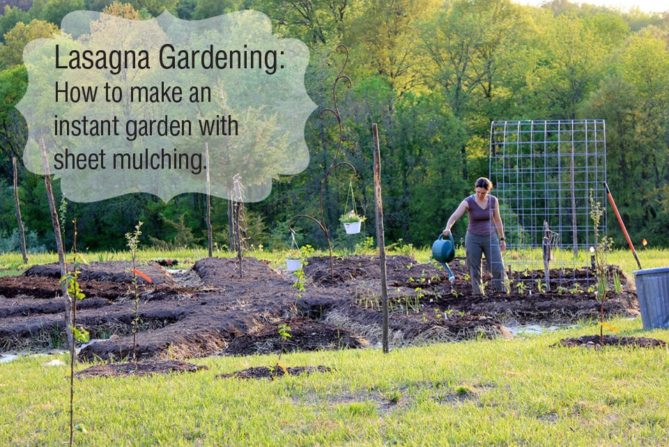 The Art of Not Trying - Wu Wei Providence life coaching and Reiki counseling-lasagna-gardening