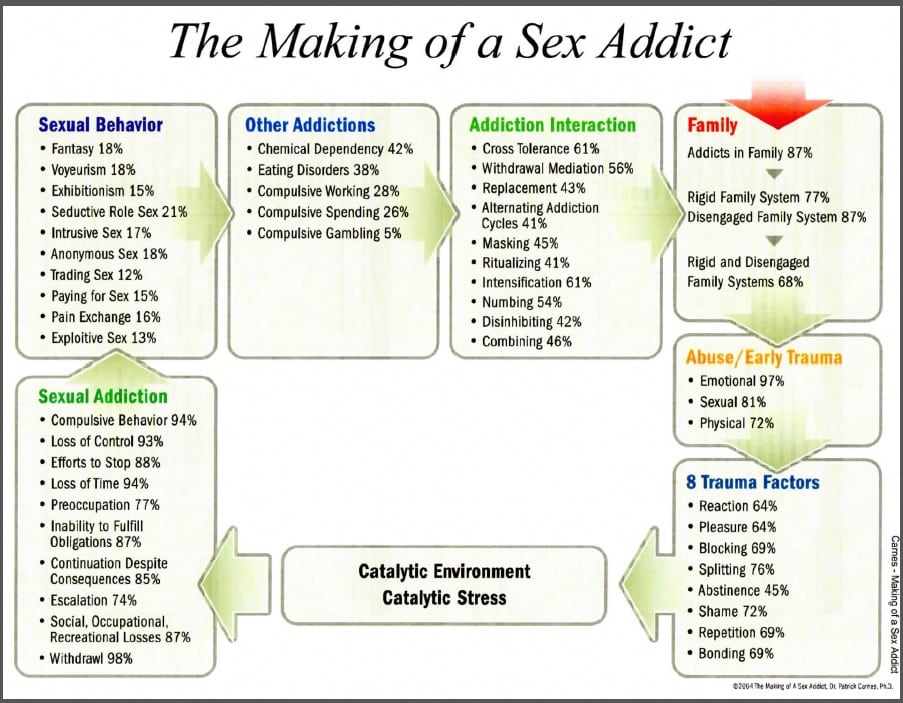 Thanks For Sharing - Sex Addiction Obsession and Compulsion - Providence Holistic Counseling Services - the-making-of-a-sex-addict-diagram