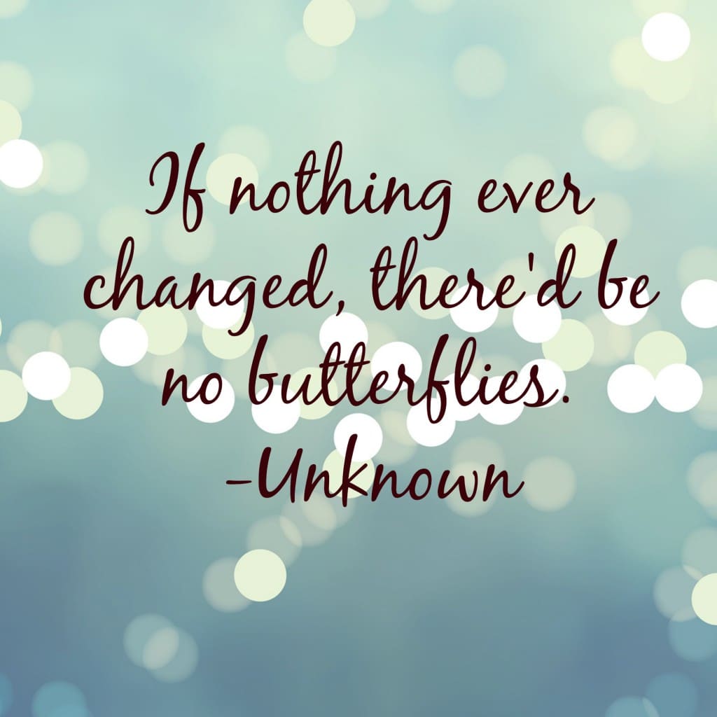 who wants change - who wants to change - Providence Holistic Counseling Services - change butteflies