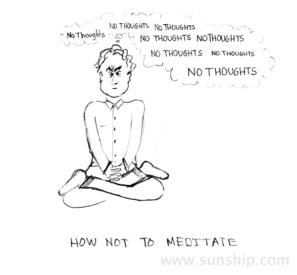 We Can Still Be Crazy - Pema Chodron - Michael Swerdloff - Providence Holistic Counseling, Coaching and Reiki