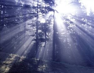 Think You Are Not Good Enough - Providence Holistic Counseling Services - not-good-enough belly