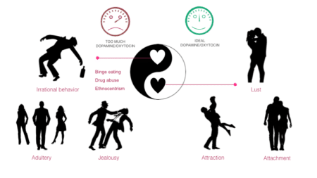 Hormones In Relationships - Are You a ‘Testosterone’ or a ‘Dopamine?’ - Michael Swerdloff - Providence Holistic Counseling, Coaching and Reiki