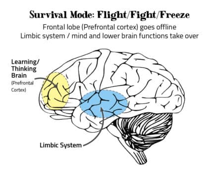 What Are We Fighting For? - Michael Swerdloff - Providence Holistic Counselor, Coach and Reiki