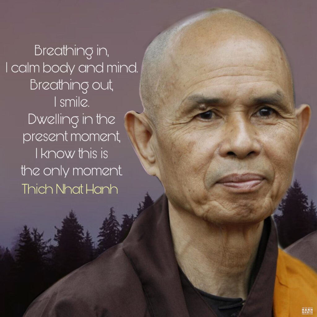 Thich Nhat Hanh Passed To The Next Dimension - Michael Swerdloff - Providence Holistic Counselor, Coach and Reiki