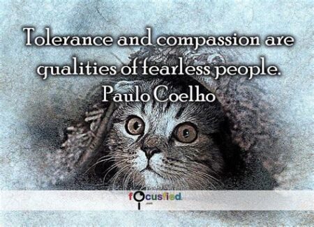 Reflections on Compassion - Michael Swerdloff - Providence Holistic Counselor, Coach and Reiki