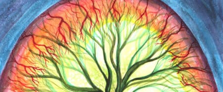Don’t Call Me a Therapist - Mad In America - Michael Swerdloff - Providence Holistic Counselor, Coach and Reiki