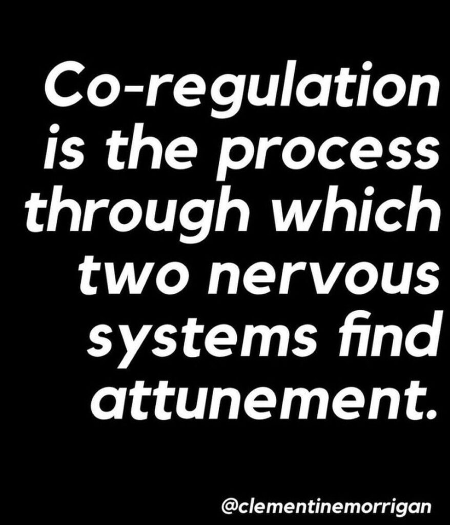 Healthy Relationships and Co-Regulation - Michael Swerdloff - Providence Holistic Counselor, Coach and Reiki